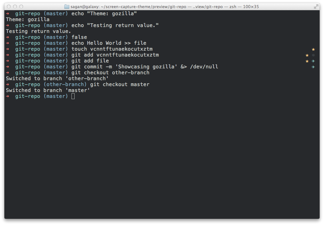 Browse zsh themes 45