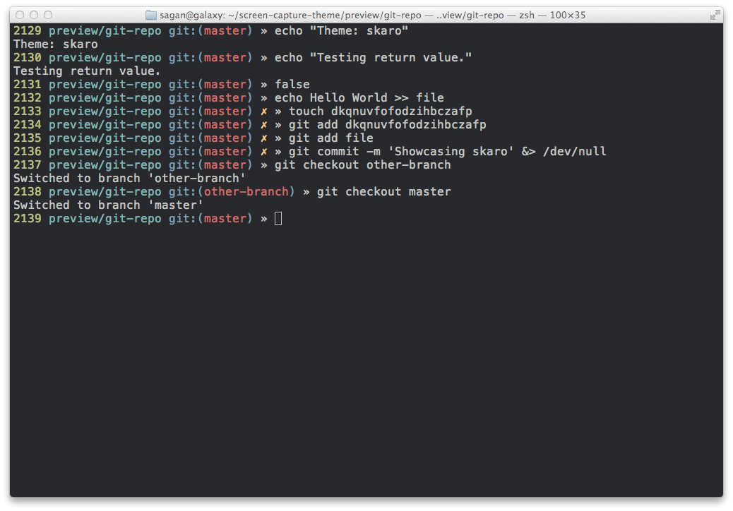 Browse zsh themes 91
